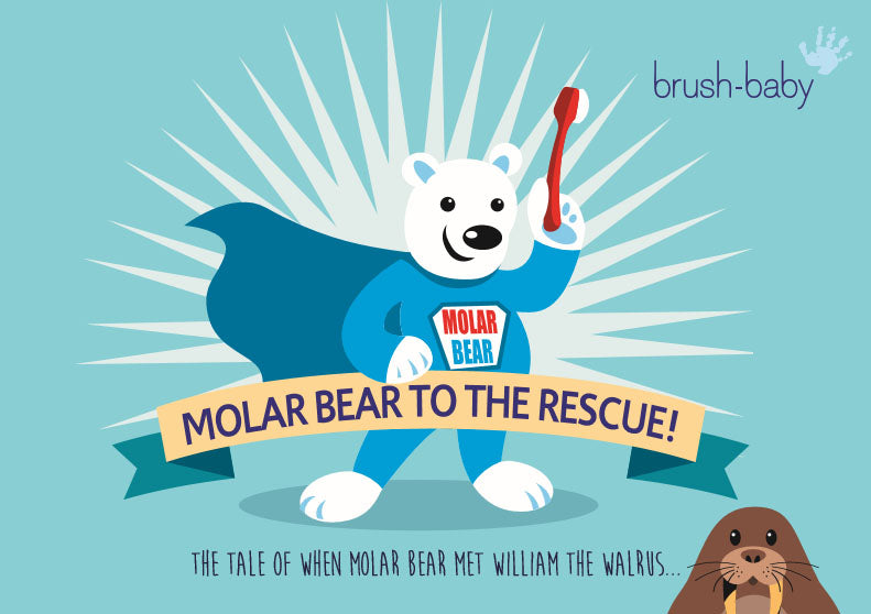 molar bear childrens toothbrushing toothbrushes