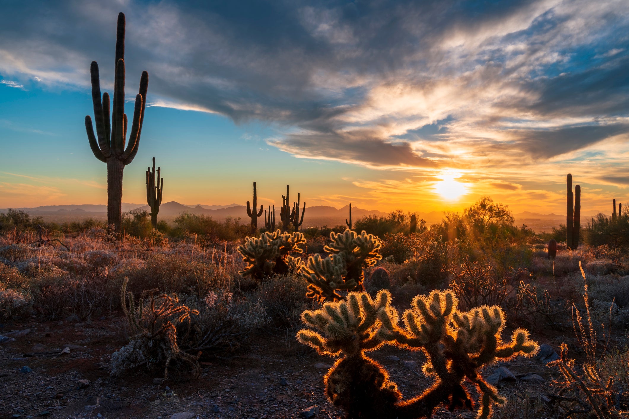 Tucson's Desert Allure | KEUTEK