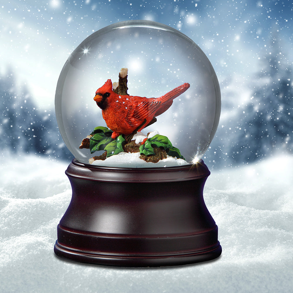 Water Globes - Snow Globes | Musical water globes, snow globes, snow ...