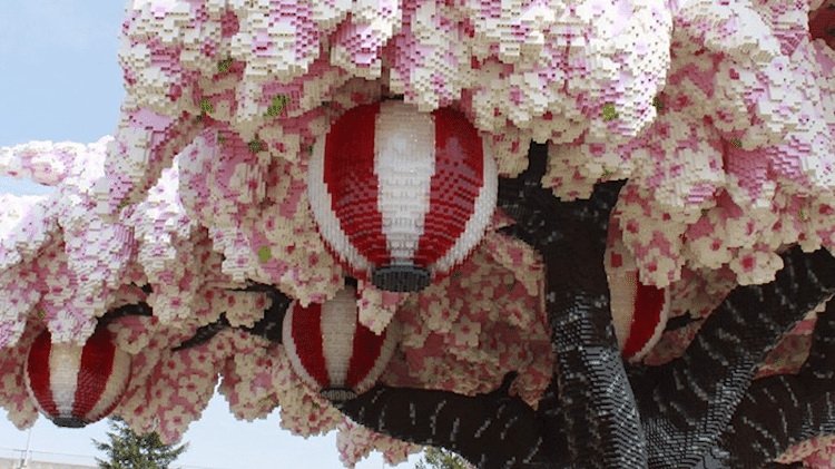Cherry blossoms tree, built of more than 800 thousand LEGO® bricks, set a world record