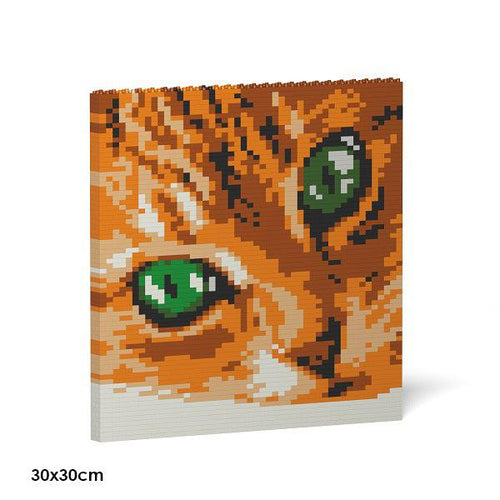 Cat Eyes Brick Paintings