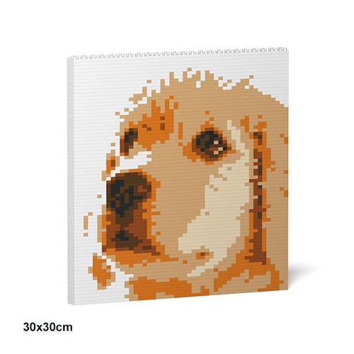 Golden Retriever Brick Paintings