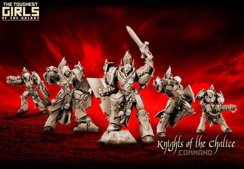 Knights Of The Chalice - Command Group