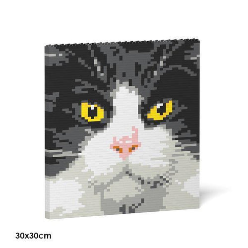 Tuxedo Cat Brick Paintings