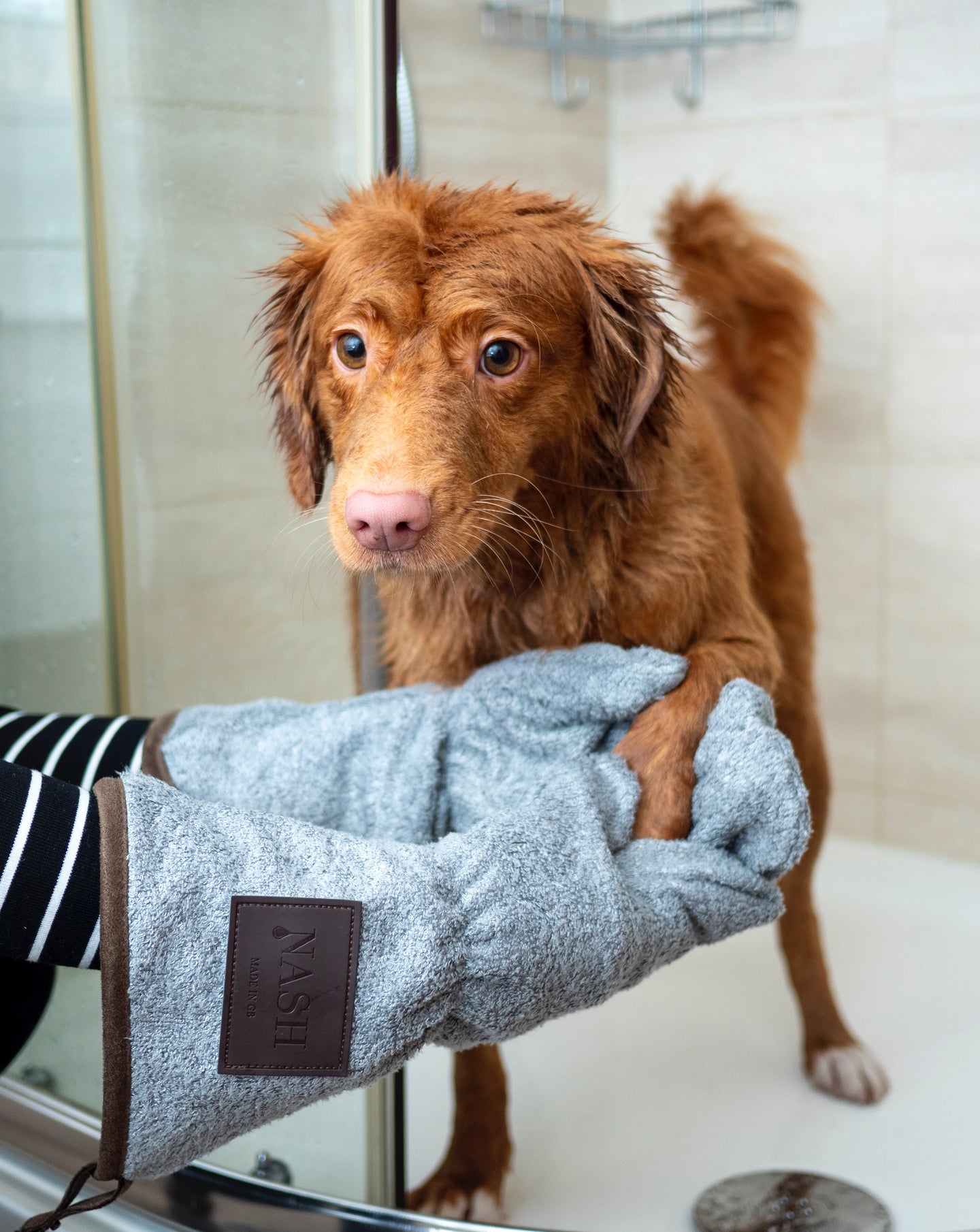 how can i keep my dog clean between baths