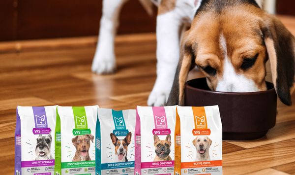 SquarePet Range of Veterinary Formulated Dog Food