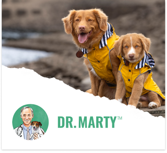 Dr. Marty March 2024 Sale