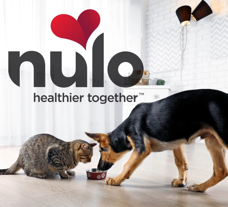 Nulo - May promotions