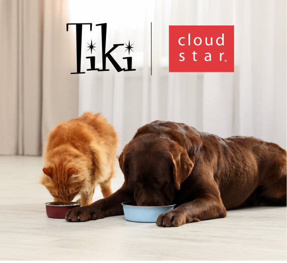 TIKI/Cloud Star 2024 Sales March