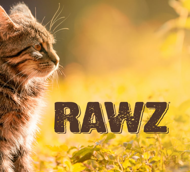 Rawz - May promotions