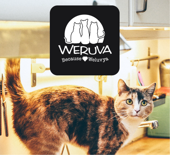 Weruva (April Sale)