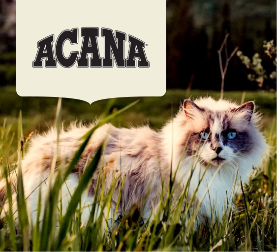 Acana (April Sale)
