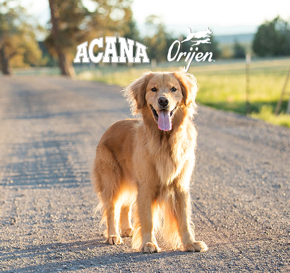 Orijen & Acana August Sale