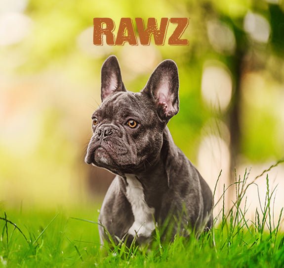 Rawz February 2024 Sale