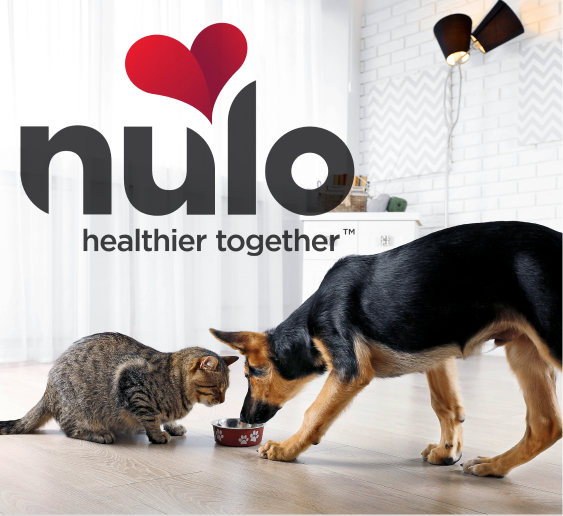 Nulo March 2024 Sales March