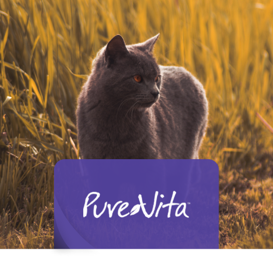 PureVita (April Sale)