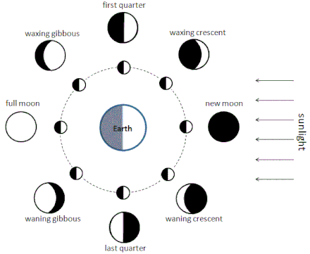 Moon phases diagram.