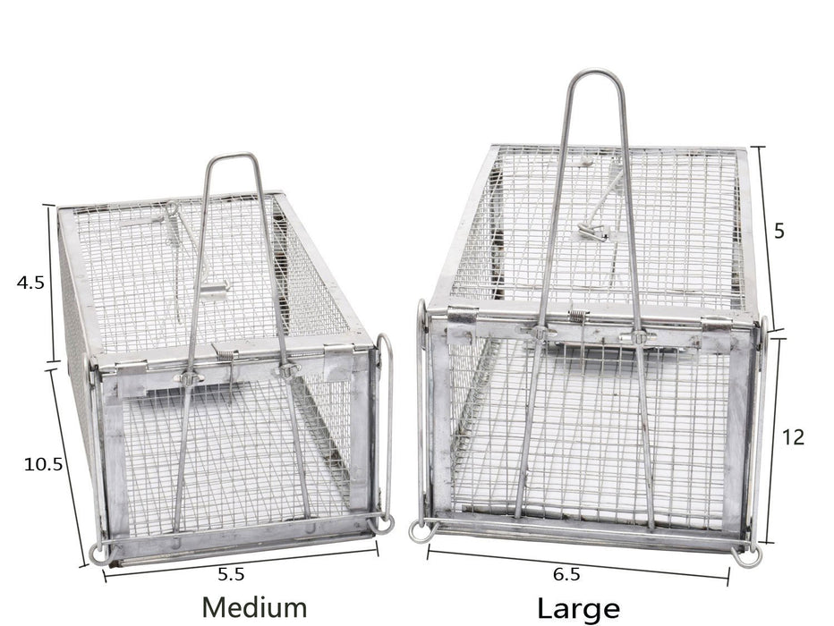 medium rat cage