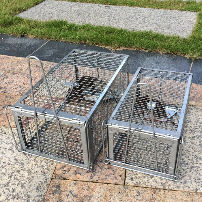 medium rat cage