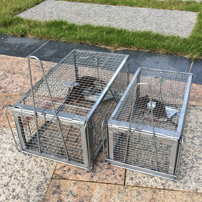 large rodent cage