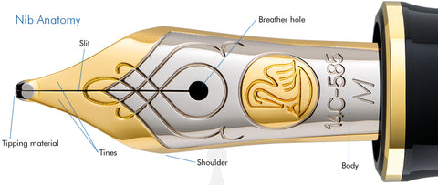 Pelikan Duotone fountain pen nib made from 14K gold depicting an intricate engraving of a pelican