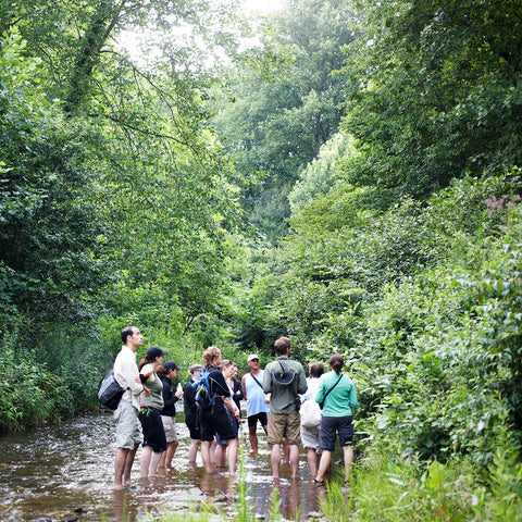 Farm walk group in catheys creek at Gaia Herbs farm