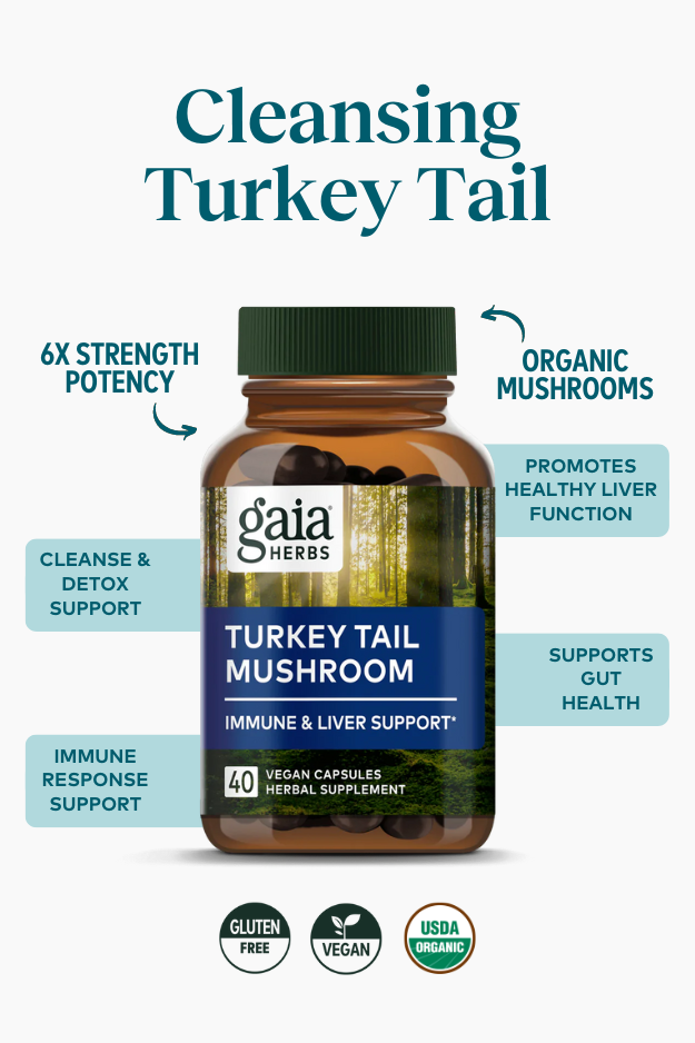 turkey tail mushroom benefits