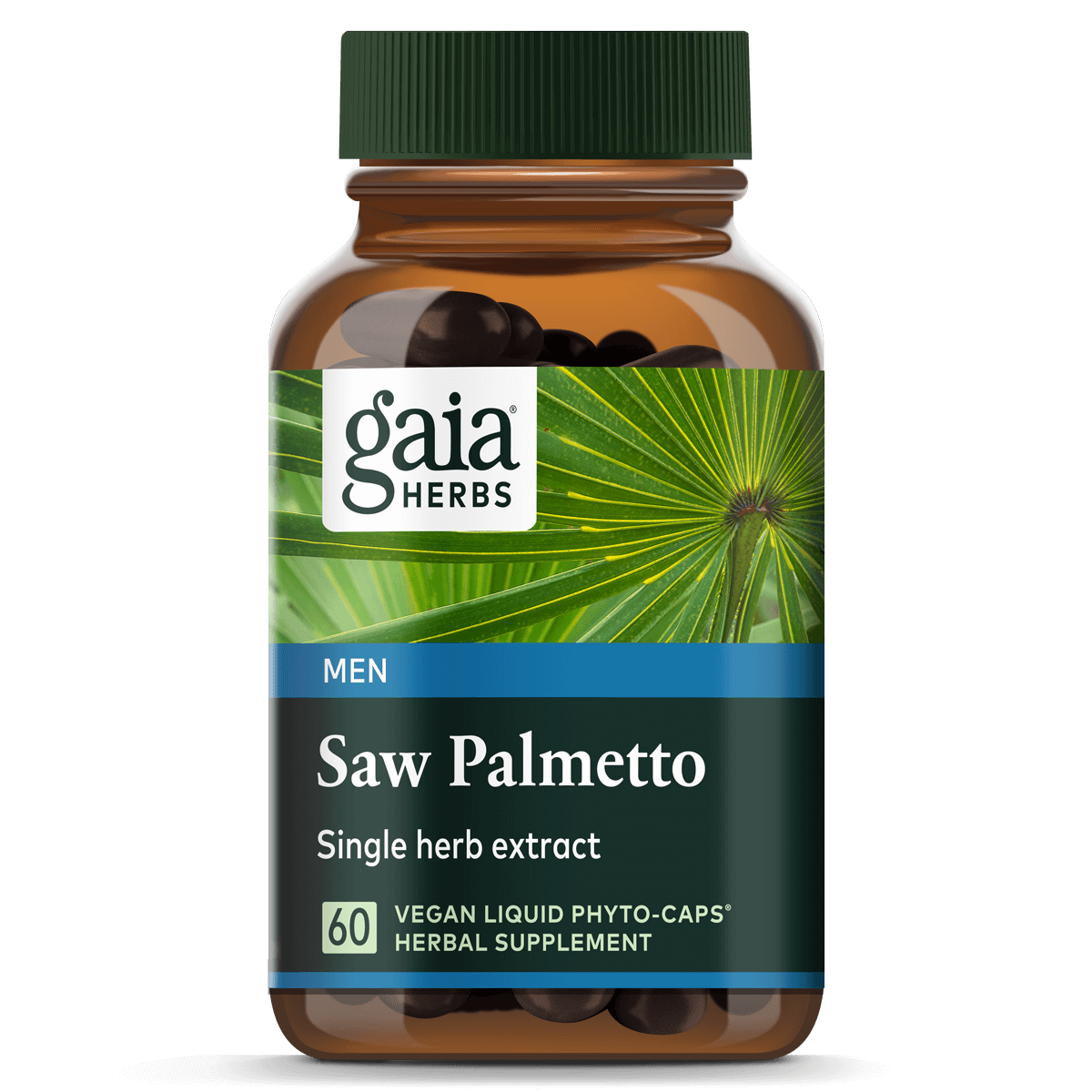 saw palmetto