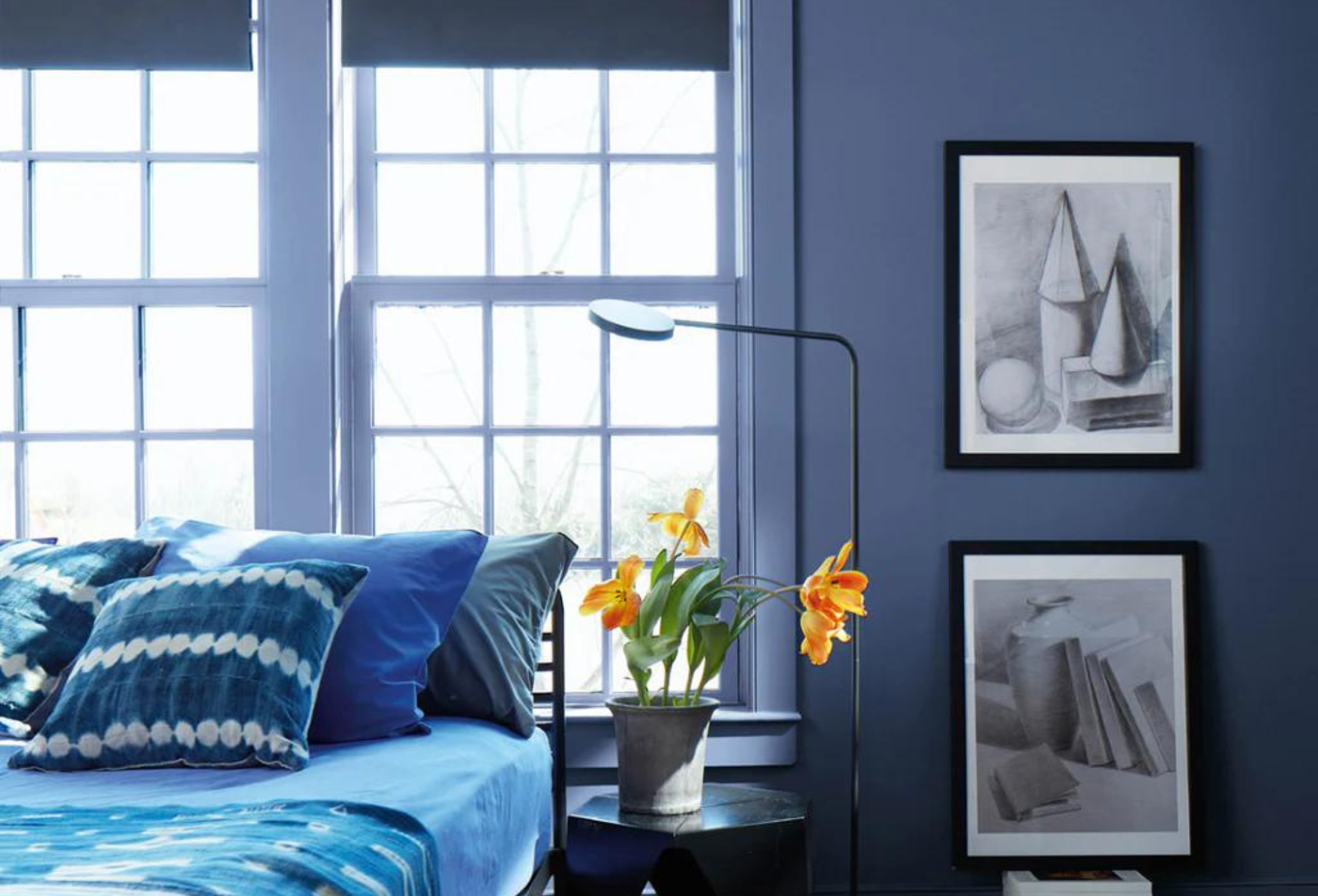 Benjamin Moore 2024 Color Trends available at JC Licht