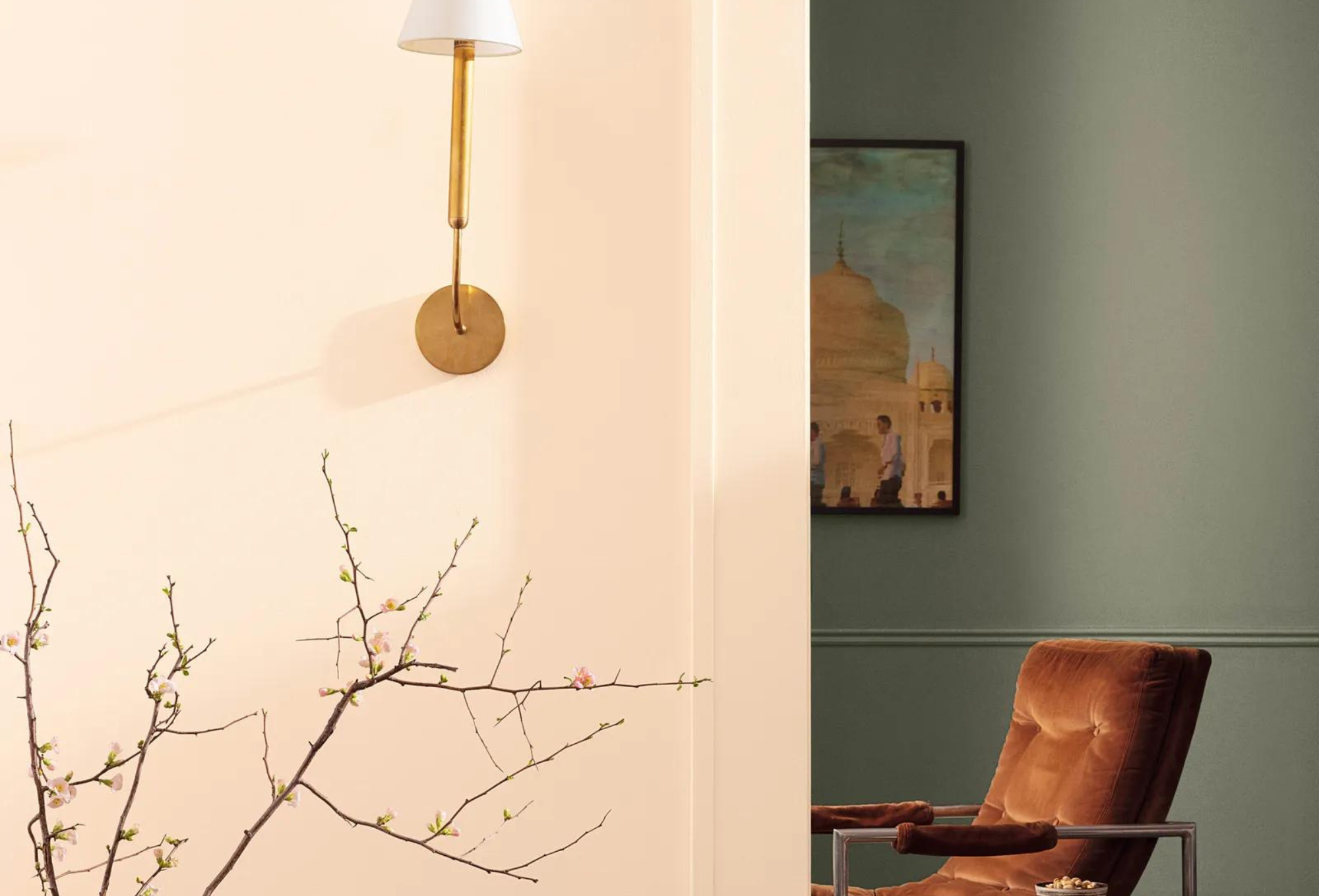 Benjamin Moore 2024 Color Trends available at JC Licht