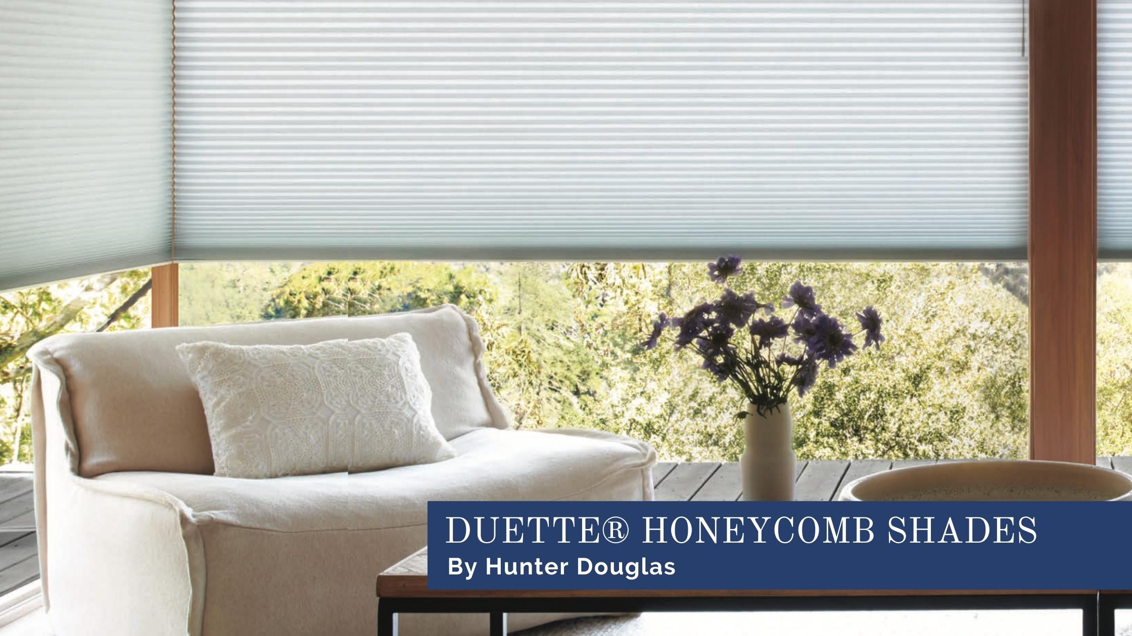 Hunter Douglas Designer Screen Shades, outdoor screen shades, patio design near Chicago, Illinois (IL)