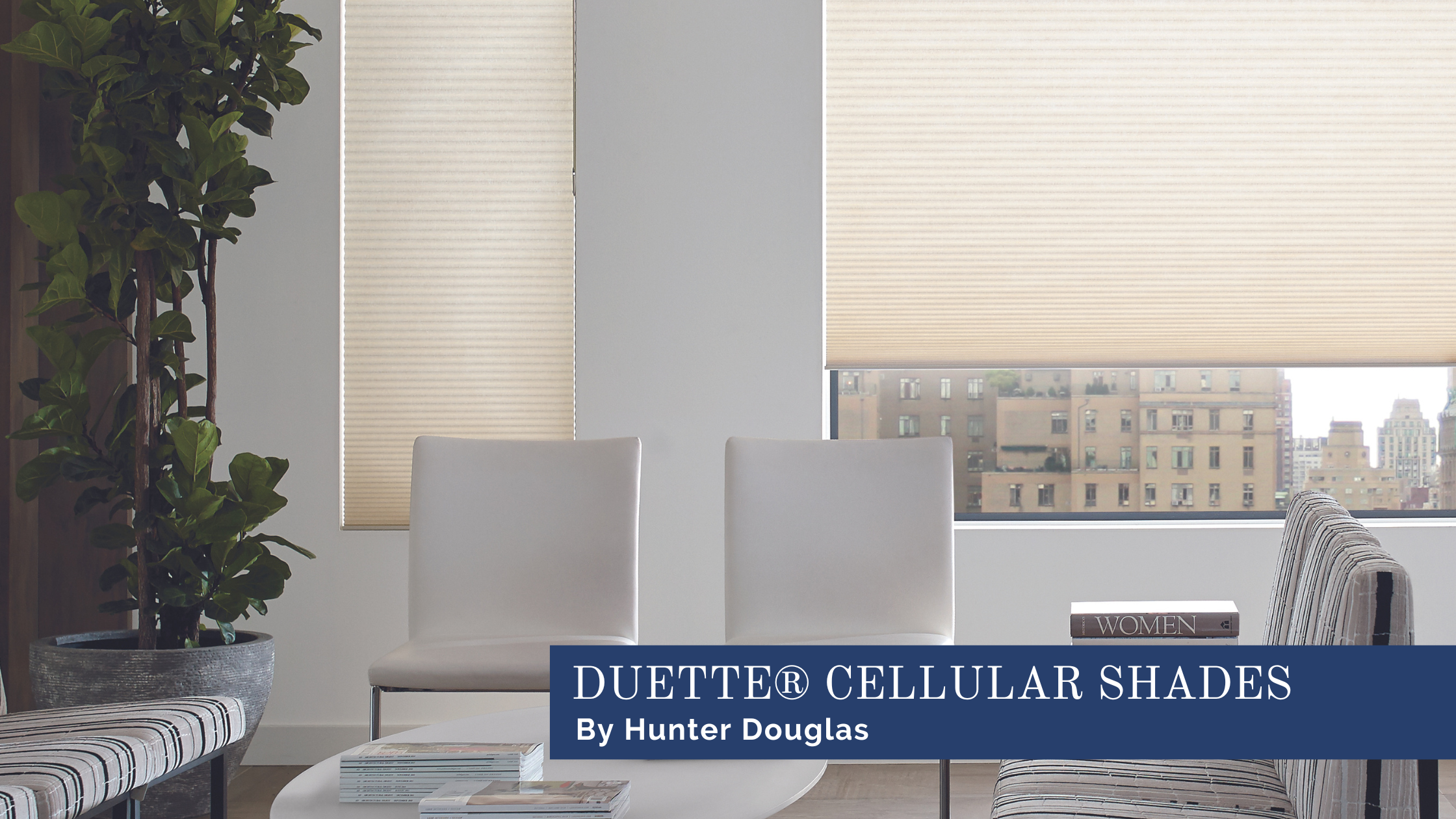 Hunter Douglas Duette® Cellular Shades in a office waiting room at JC Licht near Chicago, Illinois (IL) 