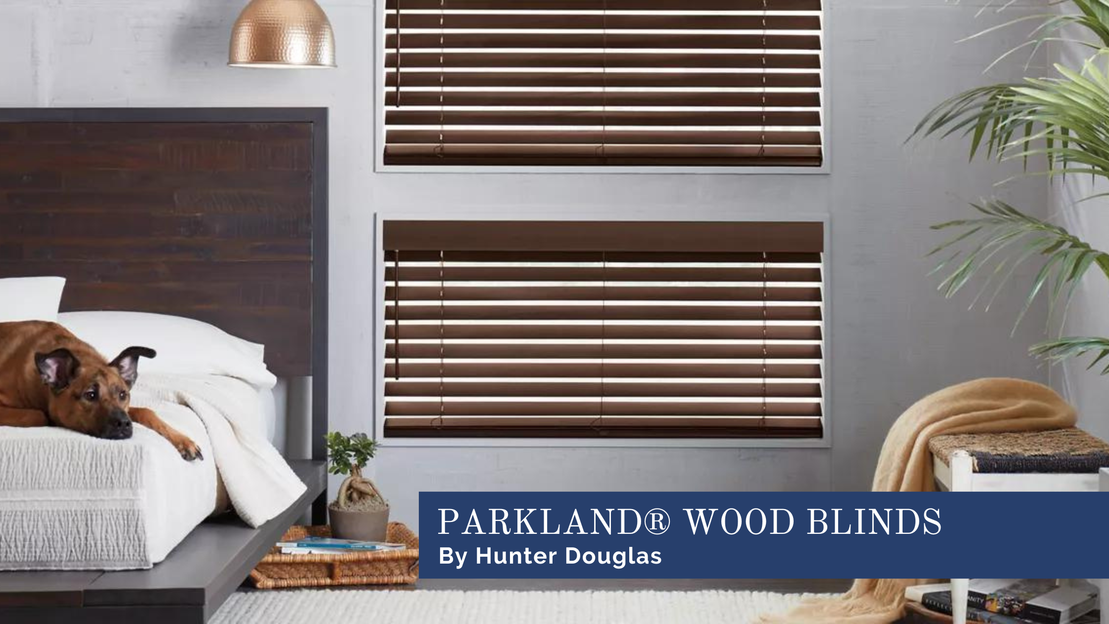Hunter Douglas Parkland® wood blinds for bedrooms, wooden blinds for windows near Chicago, Illinois (IL) and Midwest