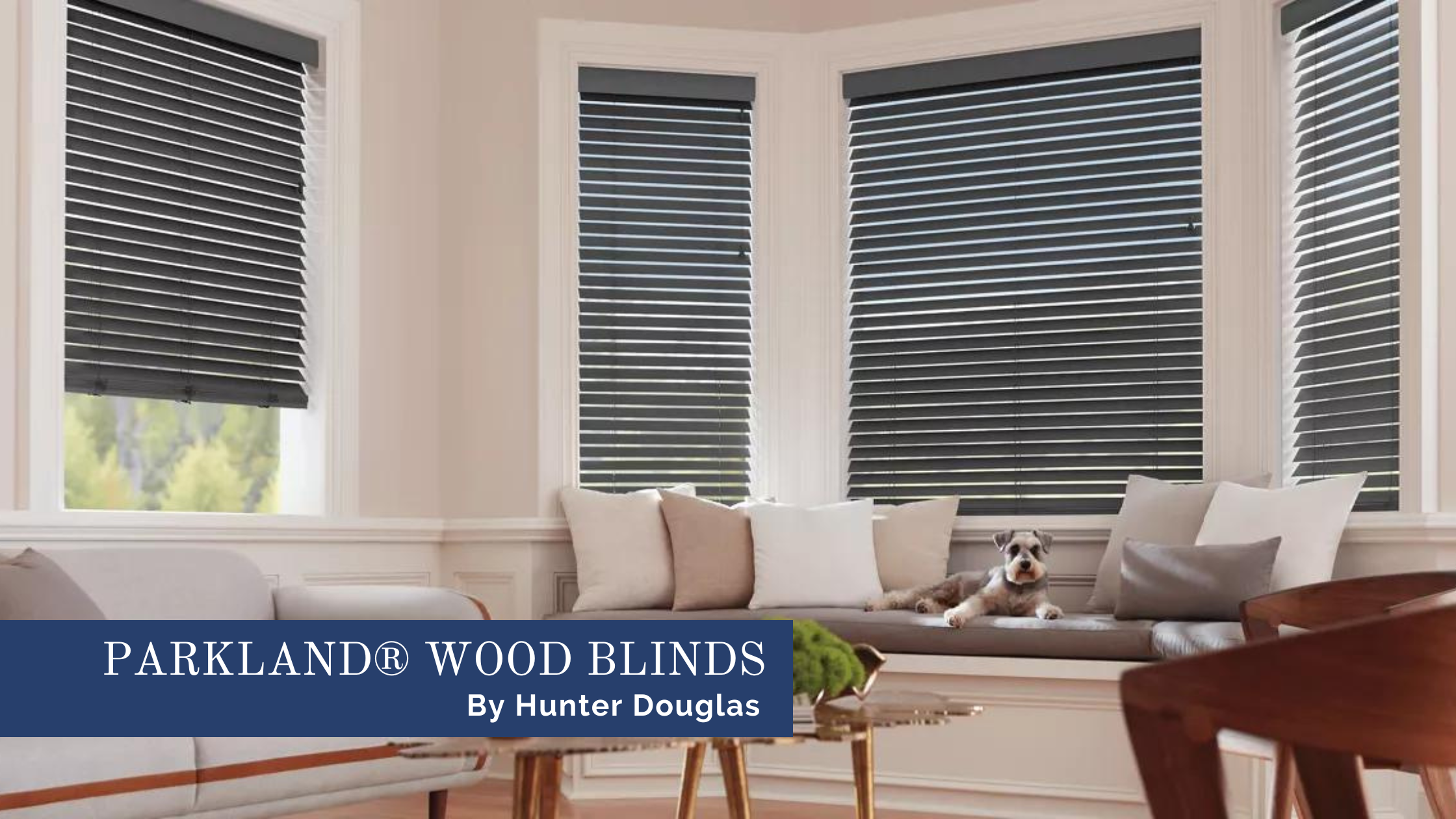 Hunter Douglas Parkland® wood blinds for living rooms, wooden blinds for windows near Chicago, Illinois (IL) and Midwest