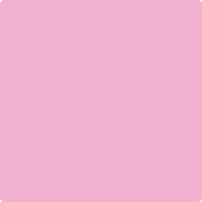 2077-50 Pretty Pink a Paint Color by Benjamin Moore