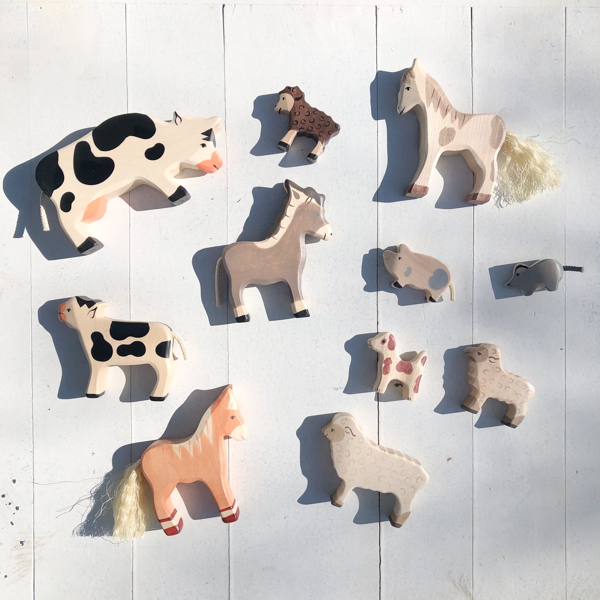 holztiger animals