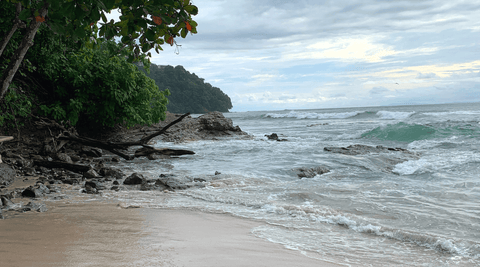 Three Days in Costa Rica’s Central Pacific Coast. Tap Tap Organics