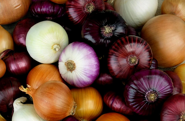 How to Quarter an Onion?