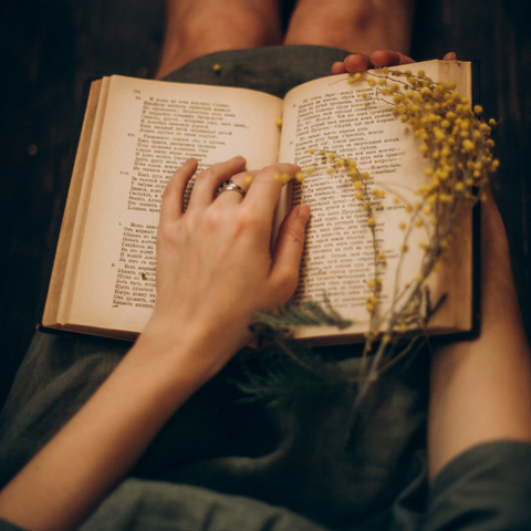 person holding a book in lap with wildflowers