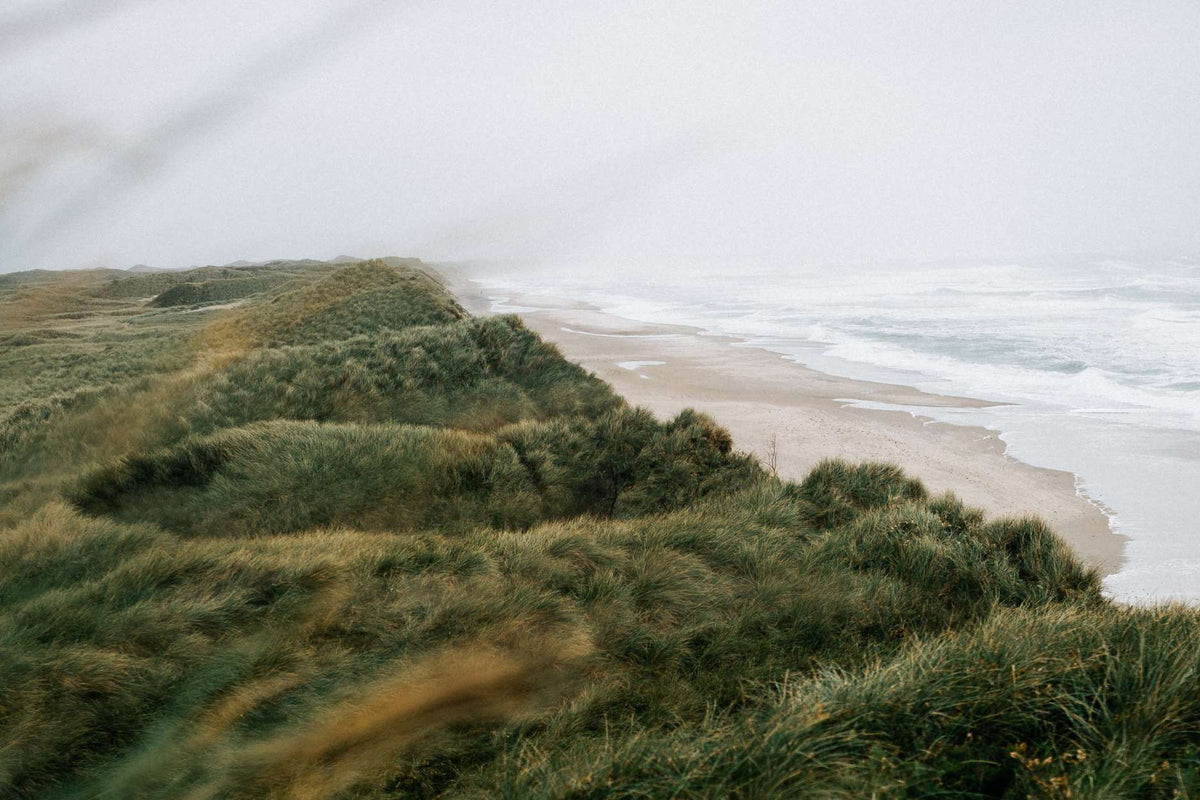 Nordsee und Dünen in Dänemark