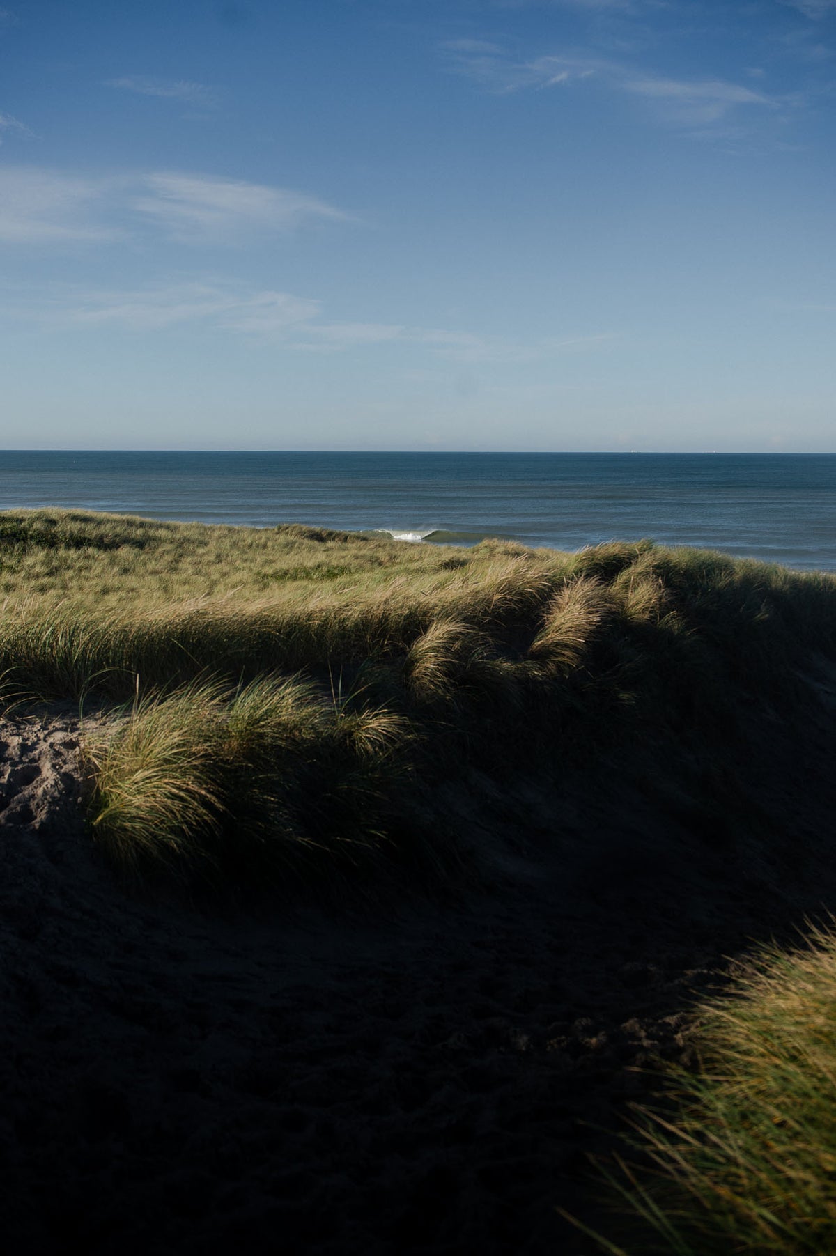 Surfen in Nationalpark Thy