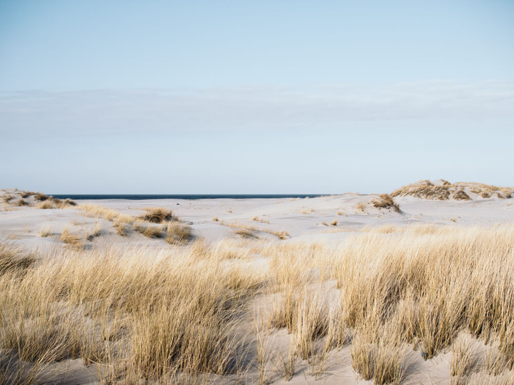 Dünenlandschaft Nordseeinsel Norderney