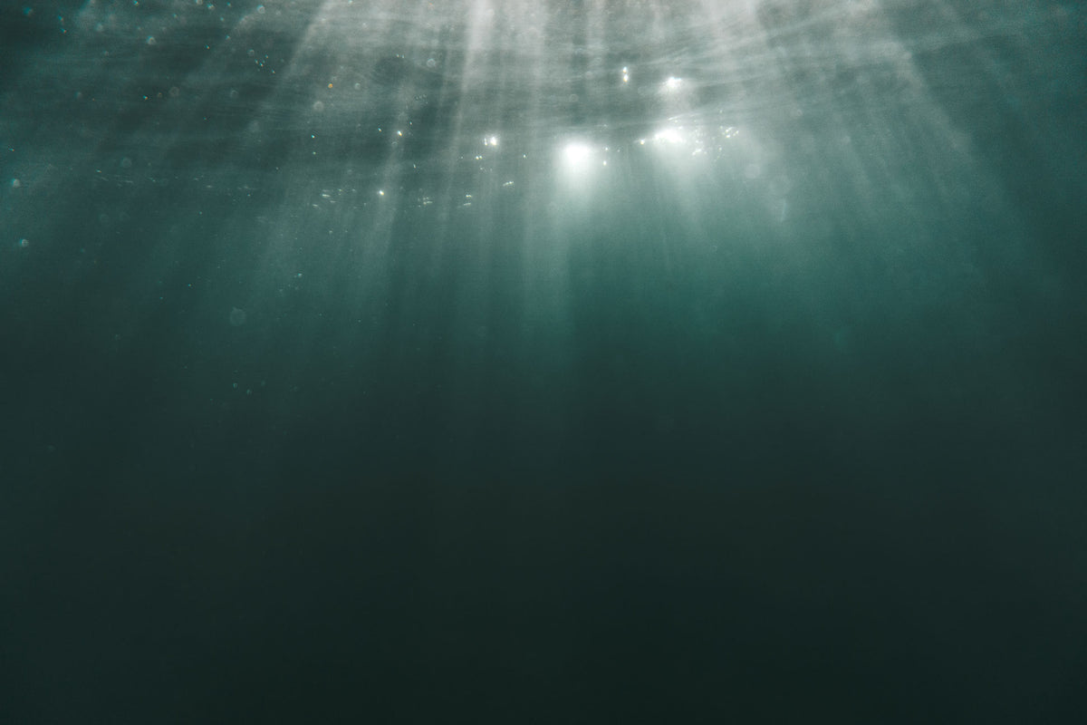 Licht schimmert durch die Wasseroberfläche