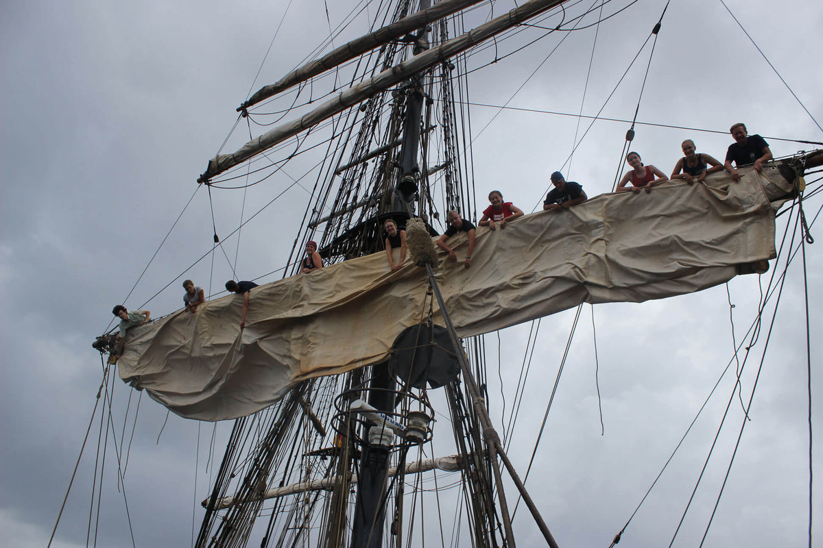 Schüler im Mast der Roald Amundsen