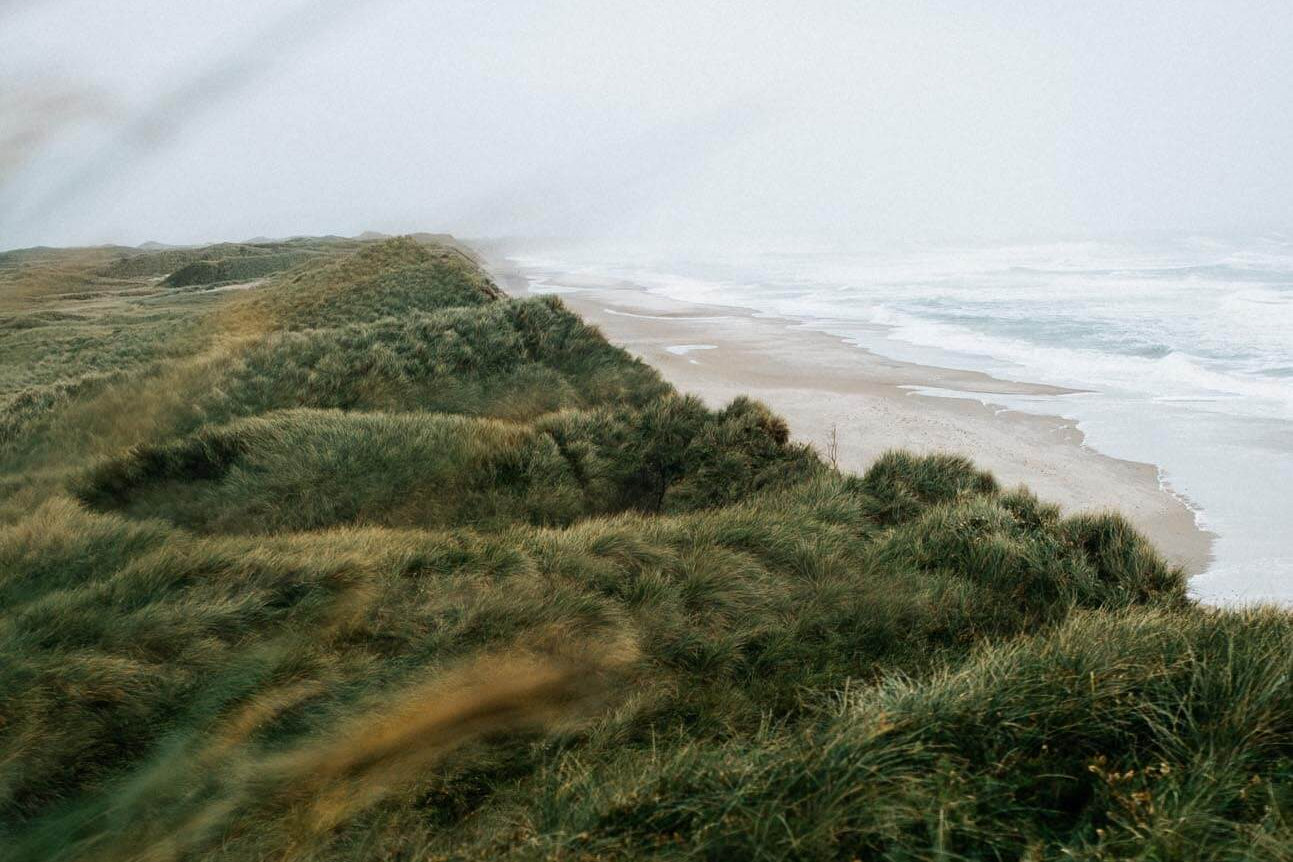 Nordsee und Dünen in Dänemark