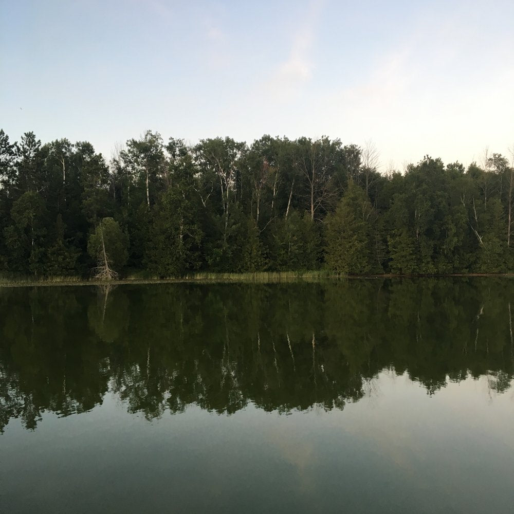 walloon lake reflection summer