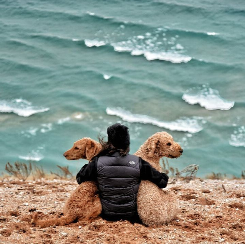 woman with two dogs looking out at lake michigan