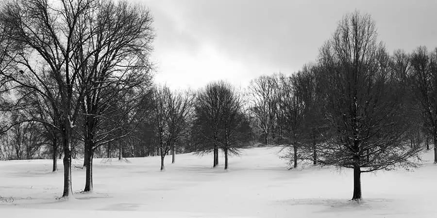 the Westmoreland state park at Virginia remains the best winter camping site that you ought to try.