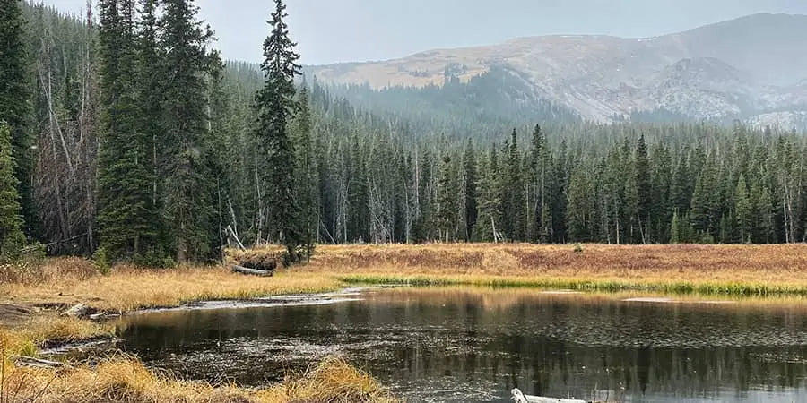 You may want to head to Northwest Colorado to enjoy the winter camping at White River National Forest