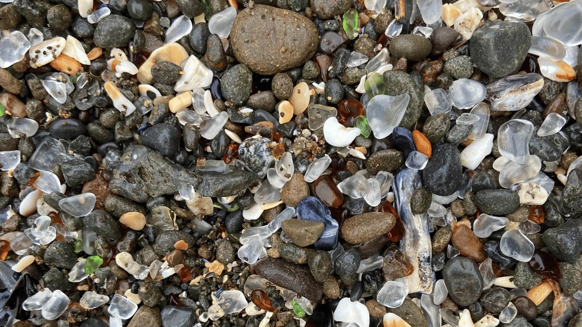 glass beach in Mendocino